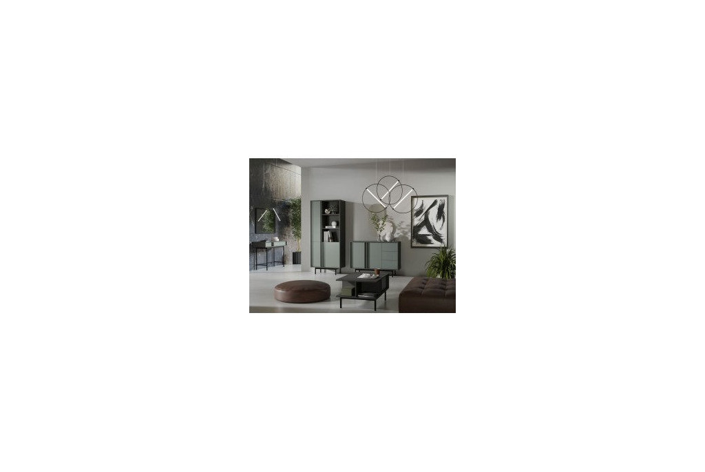 Meble Systemowe ALSY Zestaw 2 Antracyt/Aloes