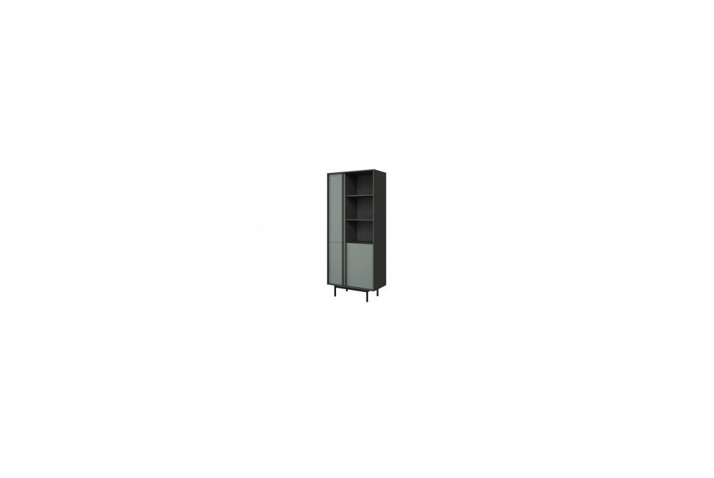 Meble Systemowe ALSY Zestaw 2 Antracyt/Aloes